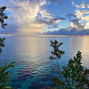 Apartment Oceanfront W/ Free Parking + High Speed Wifi